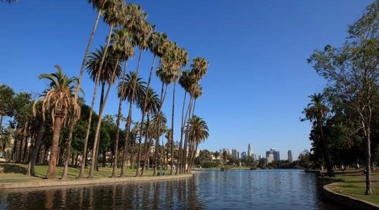 Planning for the Environment