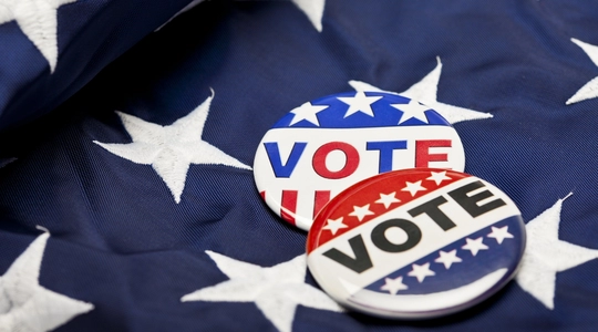 Vote Pin on Flag