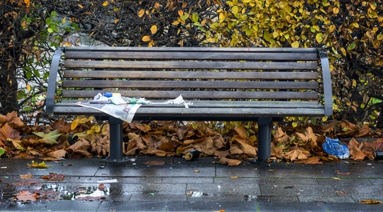 Image of a Bench