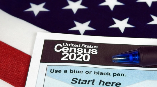 Census 2020 Form