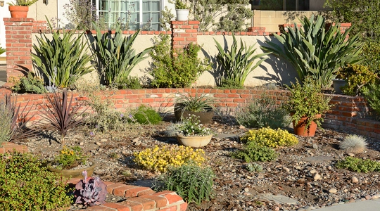 Water Wise Front Yard