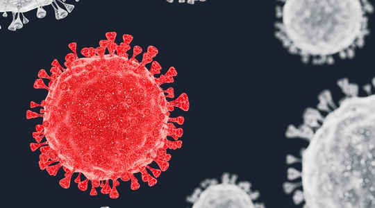 close up of virus cells
