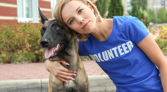 volunteer with homeless dog