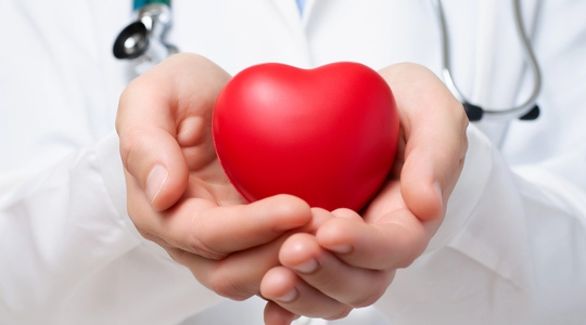 Hand Holding Heart
