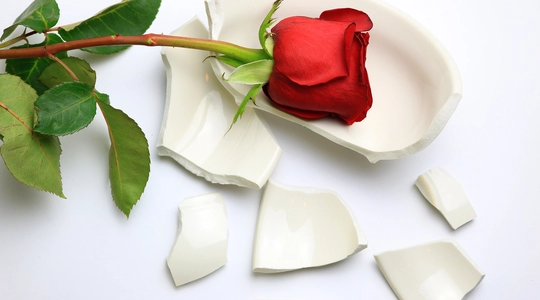 Rose on Broken Plate