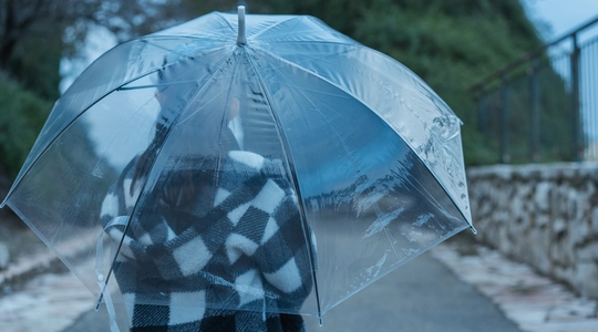 Person holding umbrella in rain