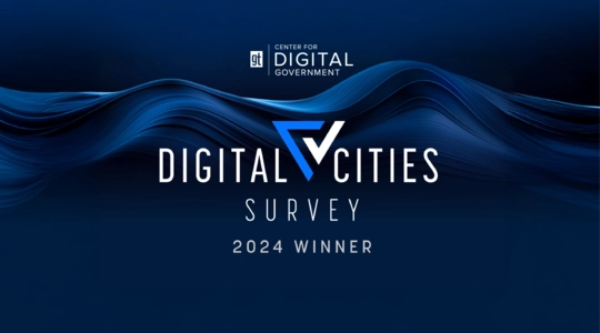 Digital City Survey 2024 Winner