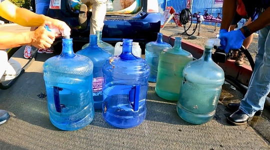 Video thumbnail: How to Get FREE Water for Your Garden in Los Angeles
