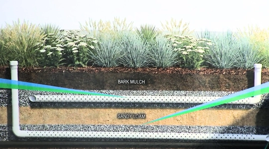 Video thumbnail: Greening Boyle Heights: New Trees, Sidewalks & Clean Water