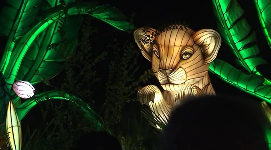 Video thumbnail: L.A. Zoo Lights Returns for 2025 With New Displays and Returning Favorites
