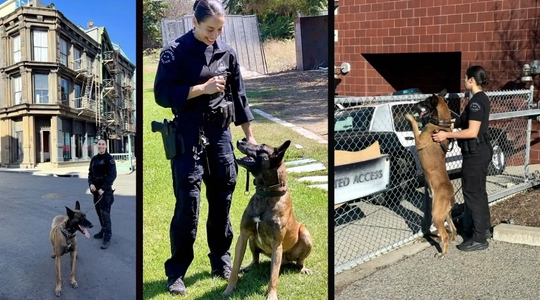 Video thumbnail: Inside the LAPD K9 Unit: Officer Maricela Corral’s Story