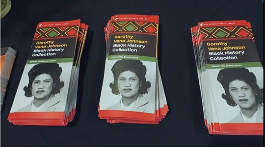 Video thumbnail: Preserving History: The Dorothy Vena Johnson Black History Collection