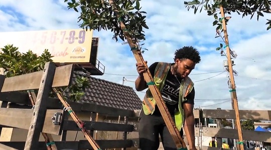 Video thumbnail: How New Trees are Transforming Koreatown