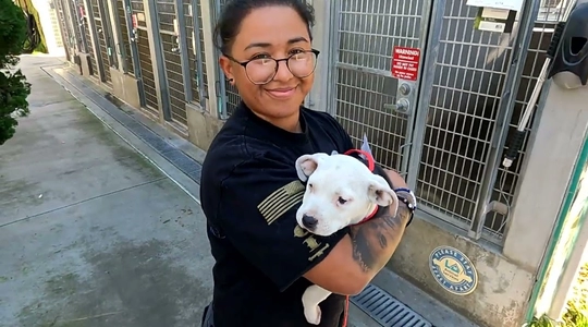 Video thumbnail: Become a Foster Pet Parent with LA Animal Services