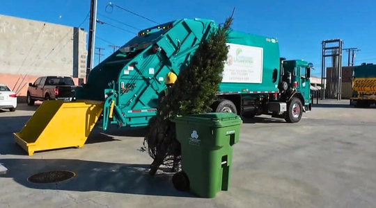 Video thumbnail: What Happens to Your Christmas Tree After the Holidays?
