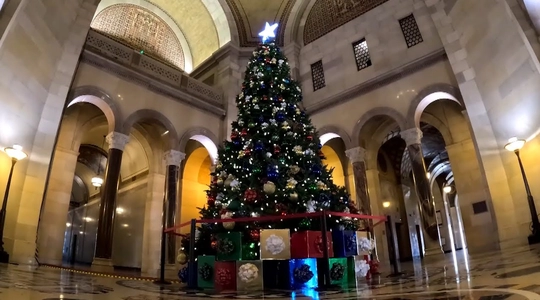 Video thumbnail: 20-Foot Holiday Tree Installed at Los Angeles City Hall