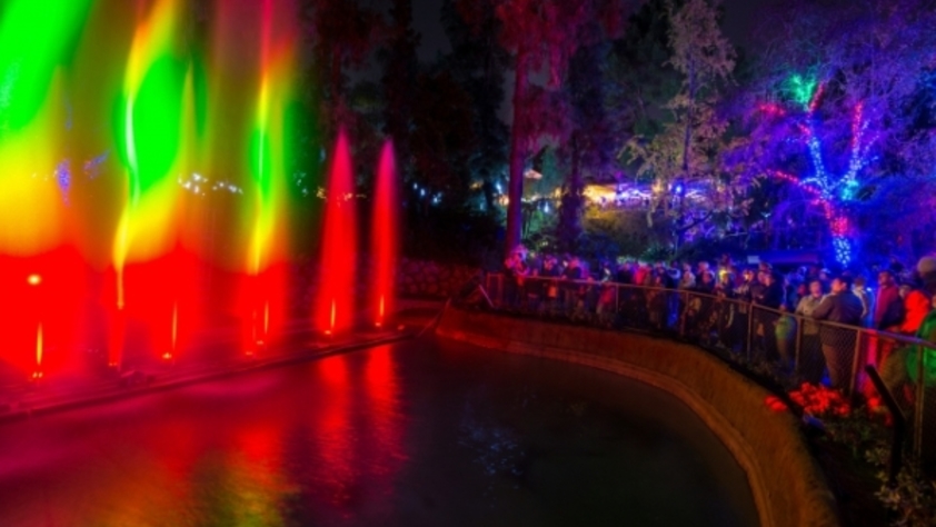 Zoo Lights 2017