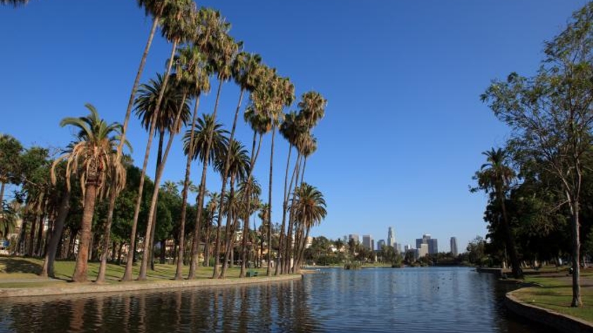 Planning for the Environment