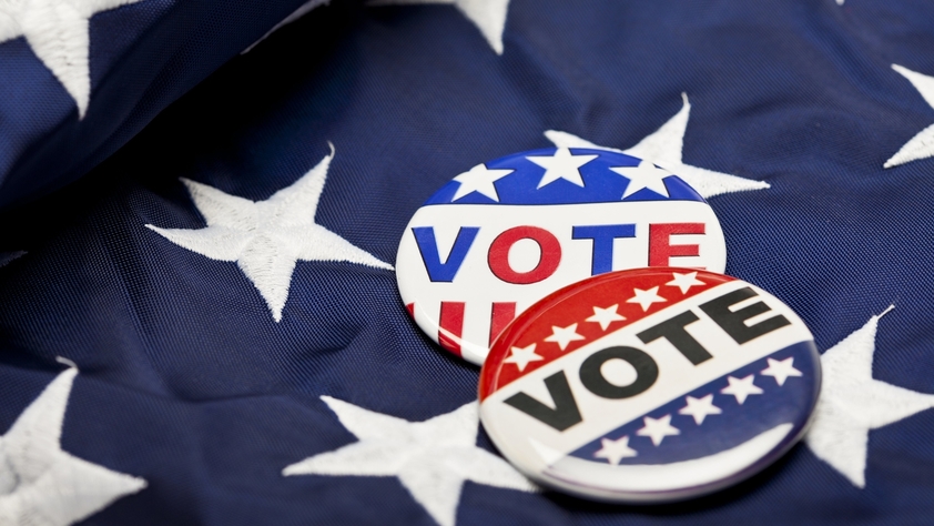 Vote Pin on Flag
