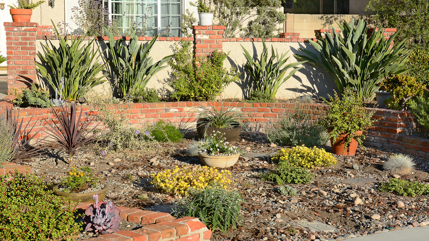 Water Wise Front Yard