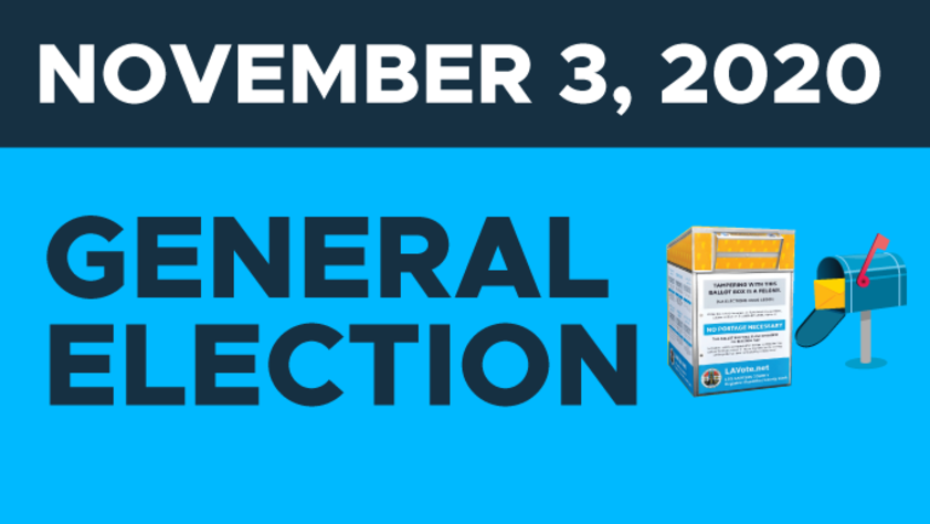 General Election on November 3, 2020 flyer
