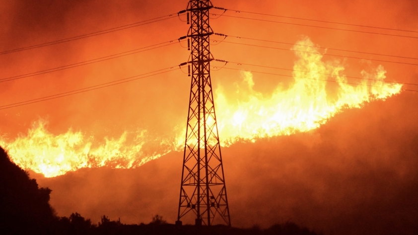Forest fires by power lines