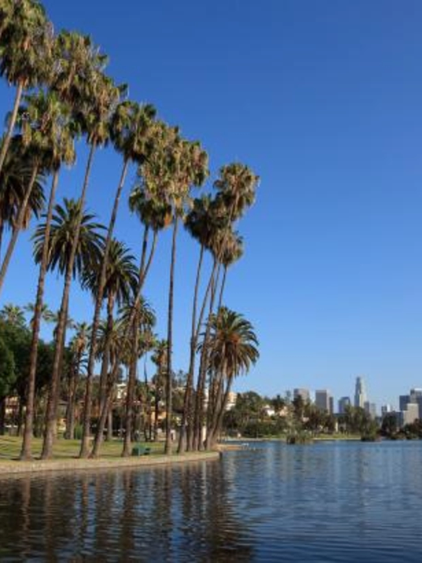 Planning for the Environment
